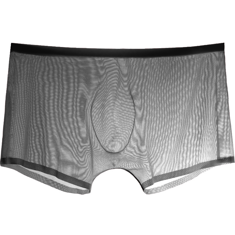 Mannelijke Boxer Heren Slips P - Trunk Breathable Men recensie en prijs