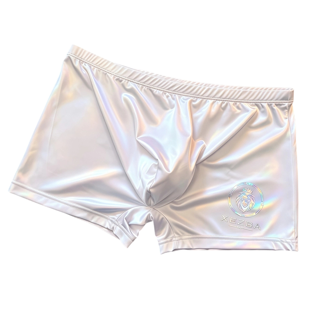 Heren glanzende ijszijde boxer - Long Leg Trunk Men recensie en prijs