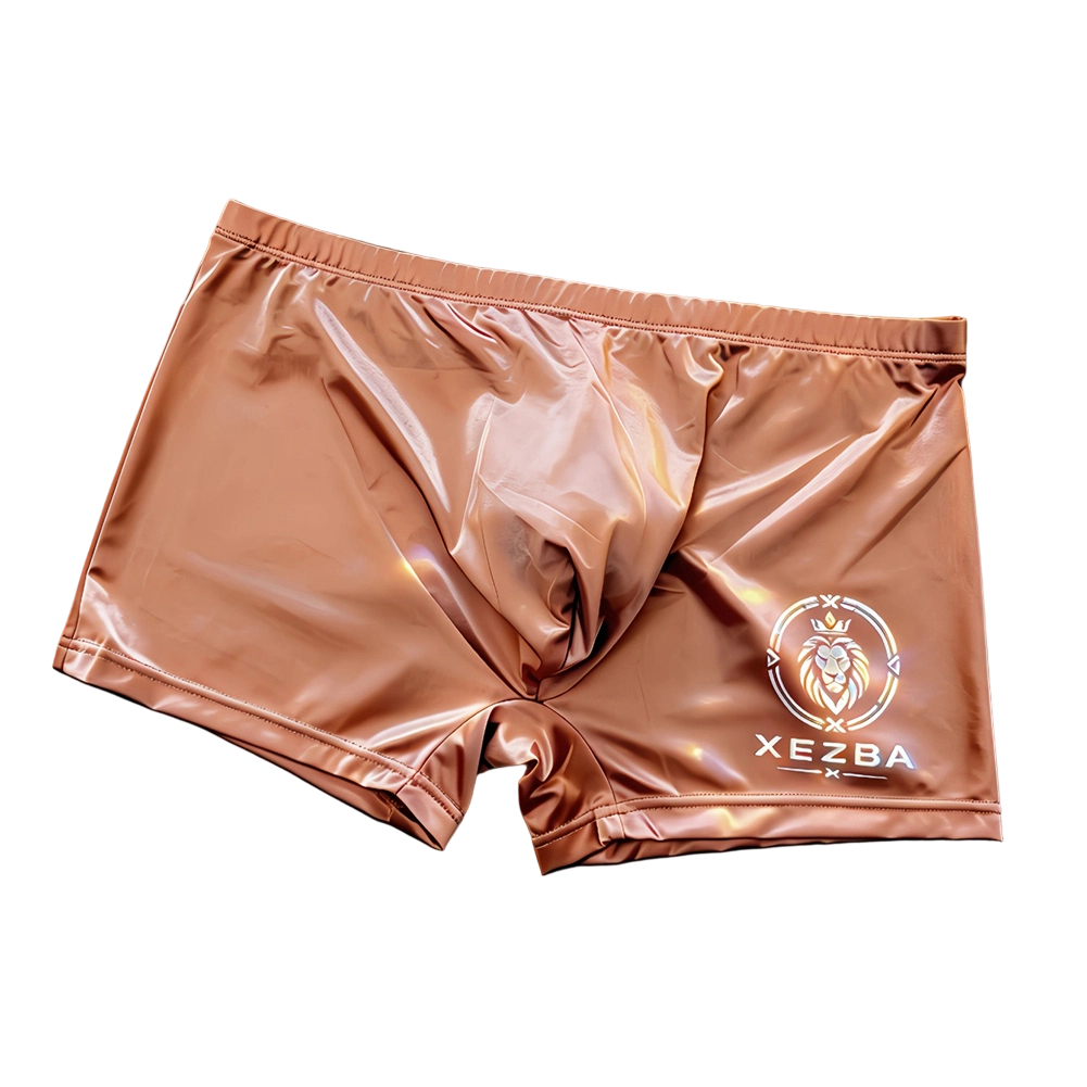 Heren glanzende ijszijde boxer - Long Leg Trunk Men recensie en prijs