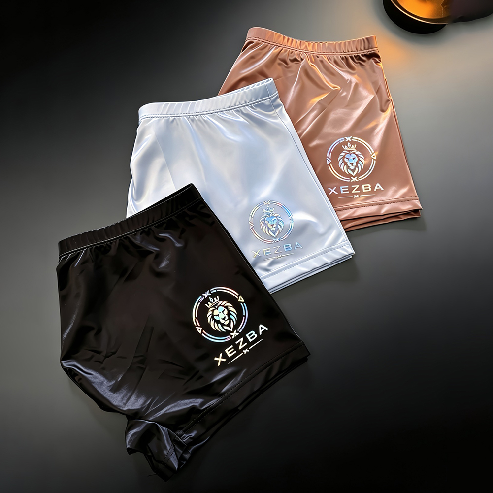 Heren glanzende ijszijde boxer - Long Leg Trunk Men recensie en prijs