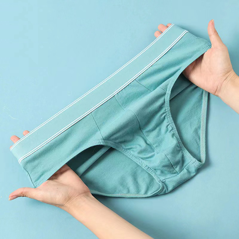 4 stks/partij Slips heren Sexy - Multi Pack Underwear recensie en prijs
